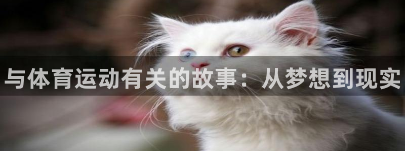 一竞技官方正版app集团E.ON：与体育运动有关的故
