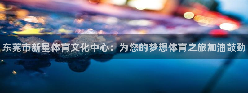 一竞技官方正版app新能源：东莞市新星体育文化中心：