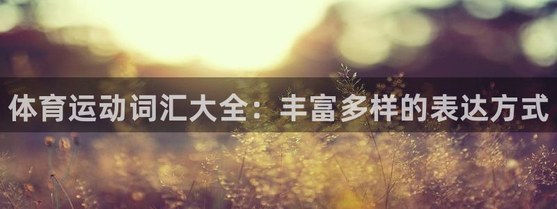 一竞技官方正版app娱乐平台：体育运动词汇大全：丰富多样的表