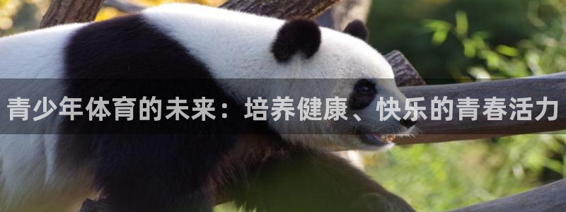 一竞技官网下载招商电话是多少啊：青少年体育的未来：培