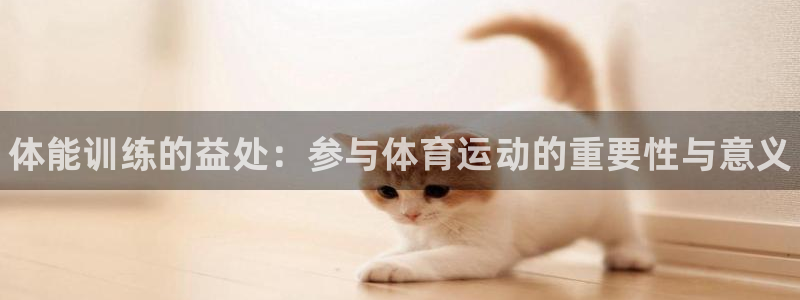 一竞技官方正版app五金厂：体能训练的益处：参与体育