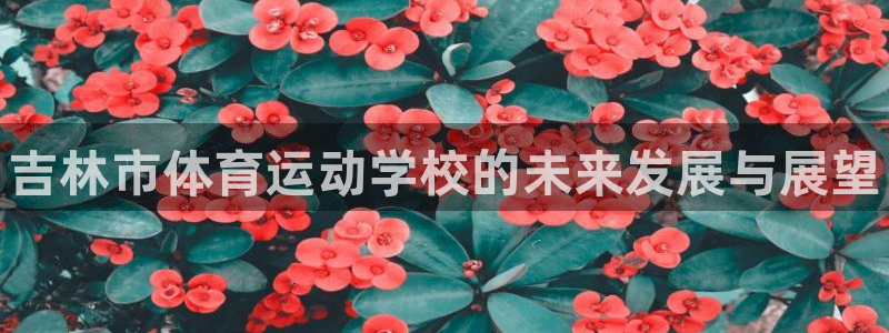 一竞技官方正版app科技：吉林市体育运动学校的未来发