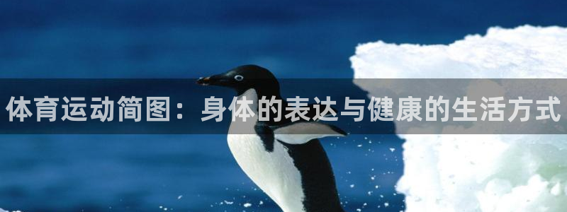 德国一竞技官方正版app集团：体育运动简图：身体的表达与健康