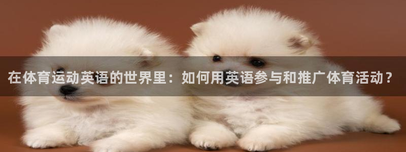 一竞技官方正版app科技
