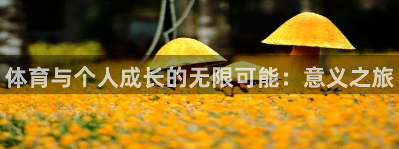 一竞技官网下载注册：体育与个人成长的无限可能：意义之