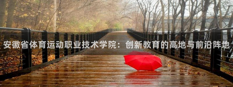 一竞技官方正版app神州：安徽省体育运动职业技术学院：创新教