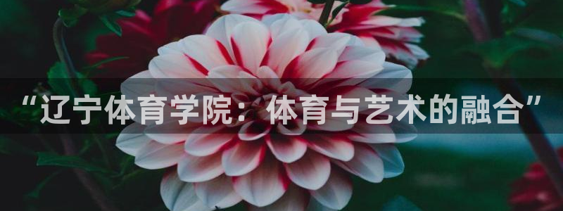一竞技官网下载招商电话号码查询是多少