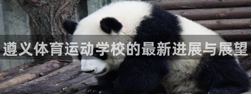 一竞技官方正版app集团E.ON