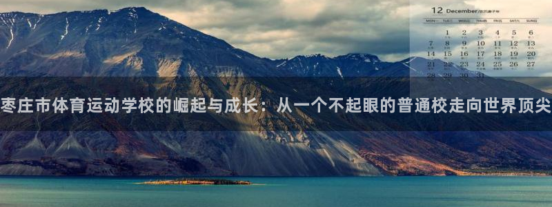 一竞技官方正版app代理：枣庄市体育运动学校的崛起与