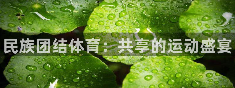 一竞技官方正版app神州：民族团结体育：共享的运动盛