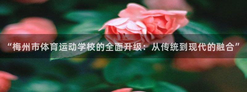 一竞技官方正版app集团官网网址：“梅州市体育运动学