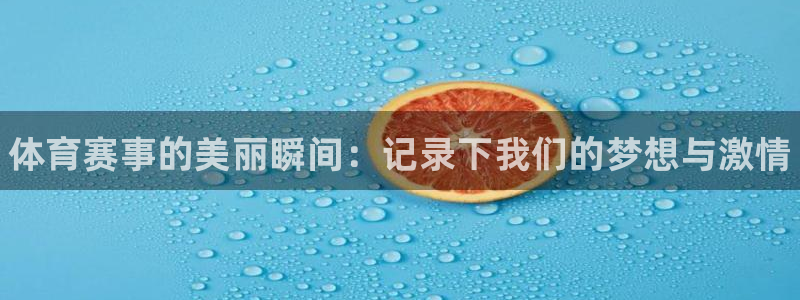 一竞技官方正版app神州