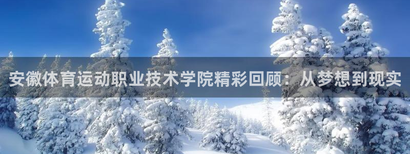 一竞技官网下载平台假的吗是真的吗吗：安徽体育运动职业技术学院