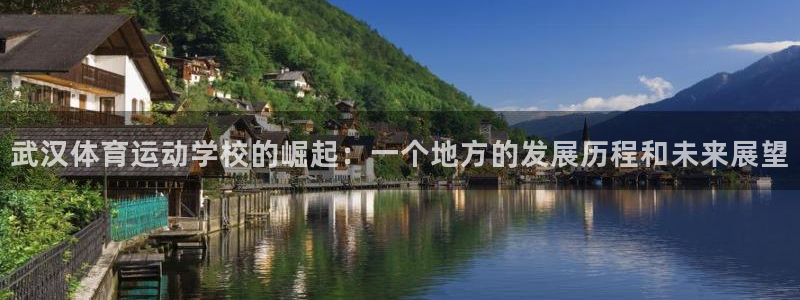 一竞技官网下载招商电话号码查询：武汉体育运动学校的崛起：一个