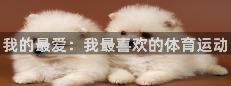 一竞技官网下载平台注册要钱吗安全吗：我的最爱：我最喜