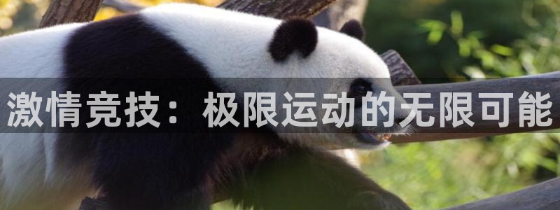 注册一竞技官方正版app：激情竞技：极限运动的无限可能