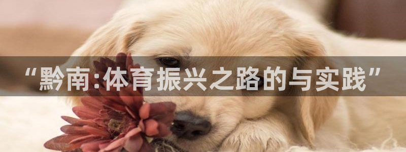 一竞技官方正版app集团E.ON：“黔南:体育振兴之路的与实