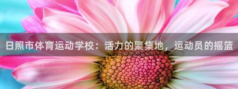 一竞技官方正版app官方