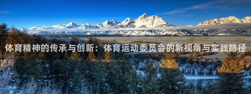 一竞技官方正版app集团：体育精神的传承与创新：体育运动委员