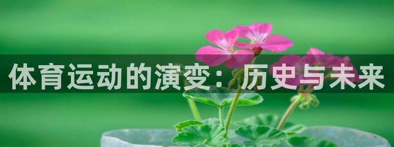 海南一竞技官网下载：体育运动的演变：历史与未来