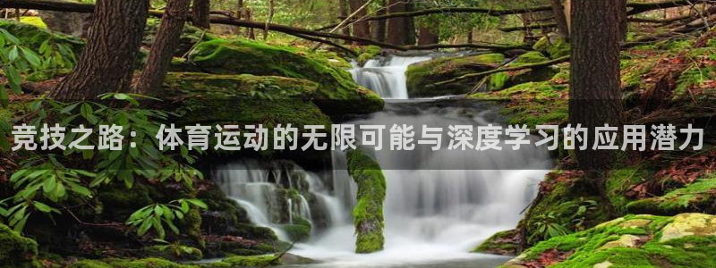 一竞技官网下载平台注册要钱吗是真的吗：竞技之路：体育运动的无