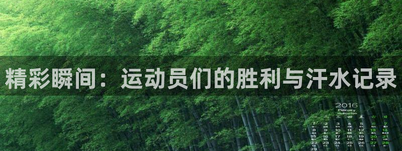 一竞技官方平台体育：精彩瞬间：运动员们的胜利与汗水记