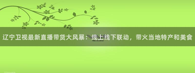 24看球网nba直播cba直播足球直播体育直播吧：辽宁卫视最新直播带货大风暴：线上线下联动，带火当地特产和美食