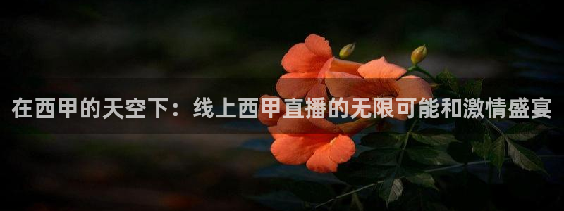 jrs低调直播吧：在西甲的天空下：线上西甲直播的无限可能和激情盛宴