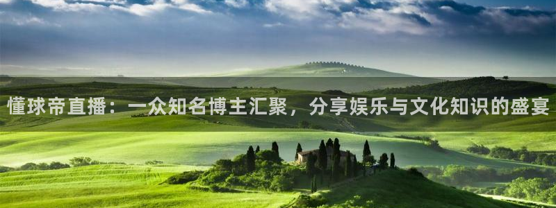 体育直播吧官网