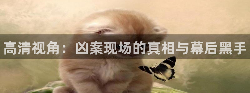 体育比赛直播吧