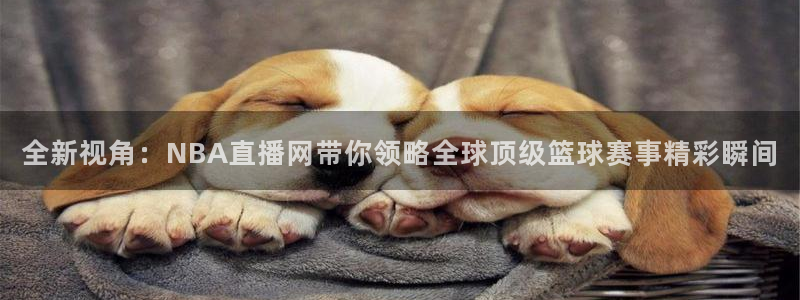 极速直播吧体育直播