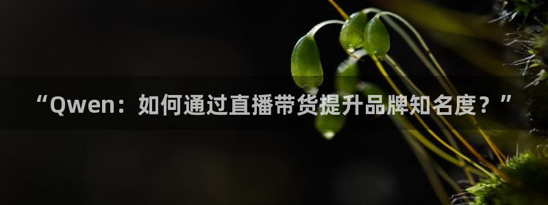 足球体育直播吧：“Qwen：如何通过直播带货提升品牌知名度？”