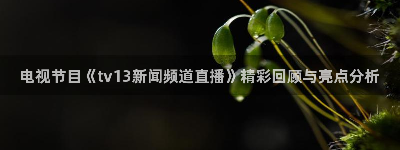 体育比赛直播吧：电视节目《tv13新闻频道直播》精彩回顾与亮点分析