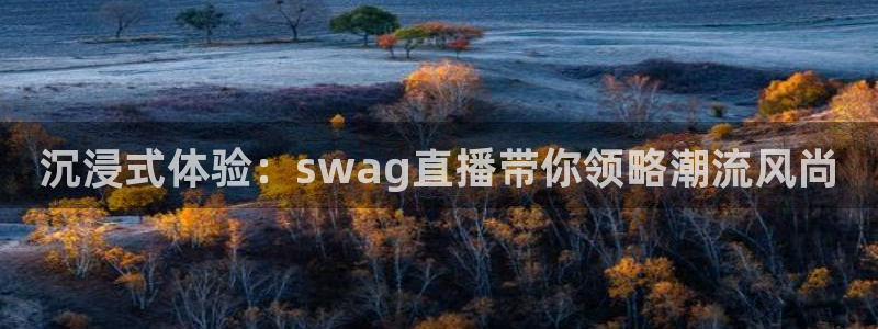 nba直播吧录像高清回放像：沉浸式体验：swag直播带你领略潮流风尚