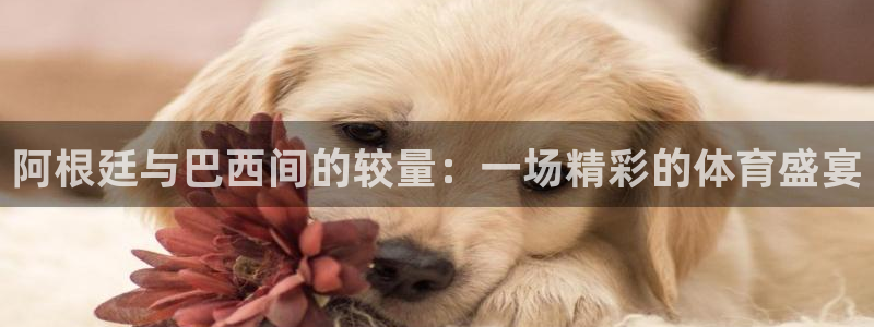 500体育直播吧nba：阿根廷与巴西间的较量：一场精彩的体育盛宴